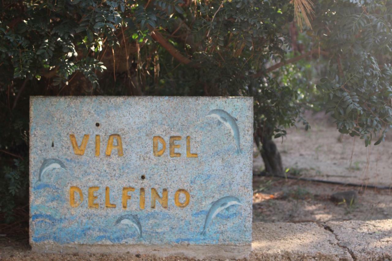Flamingos In The Desert Villasimius Bagian luar foto